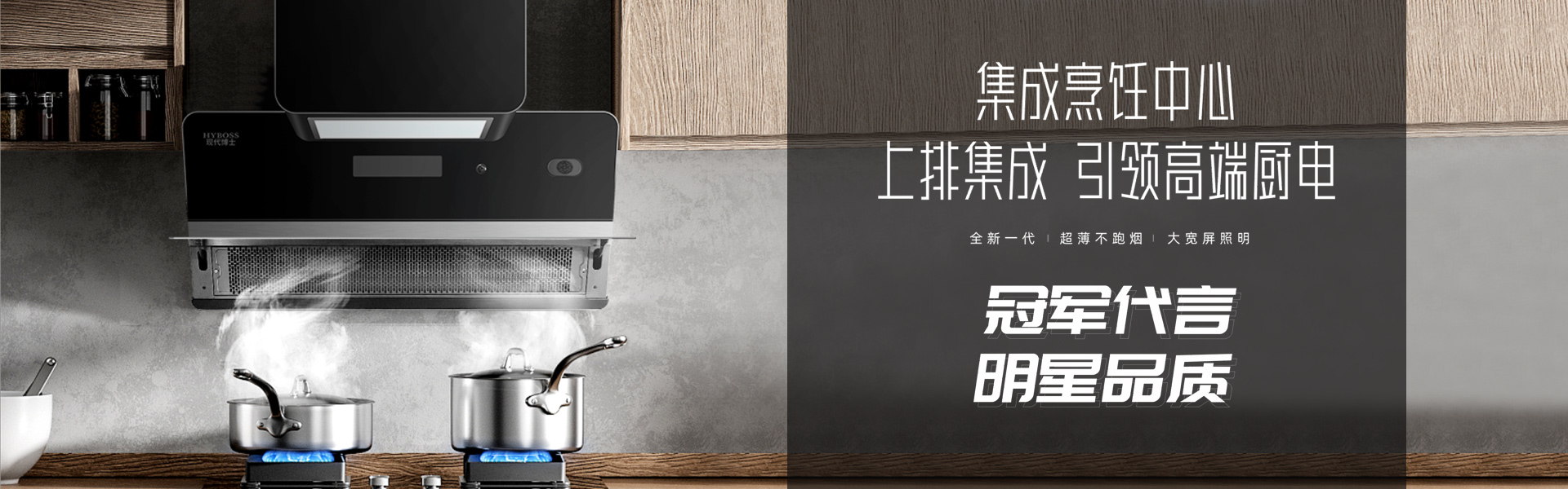 中国厨卫电器十大品牌-大吸力吸油烟机