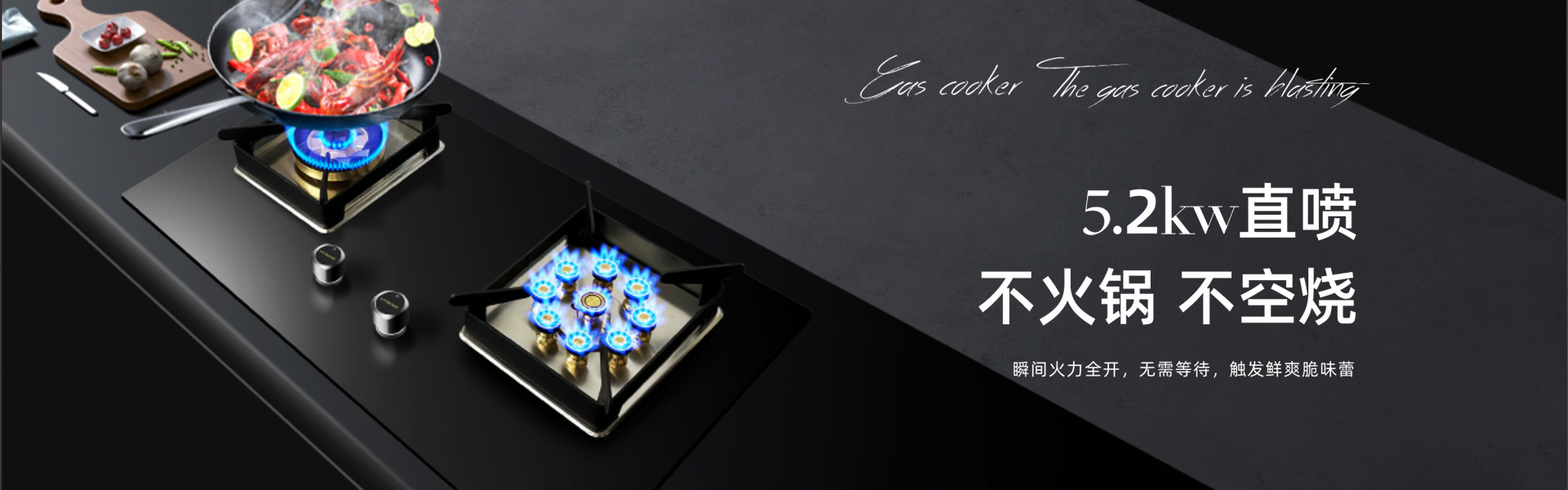 中国厨卫电器十大品牌-大吸力吸油烟机